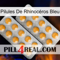 Pilules De Rhinocéros Bleu levitra2